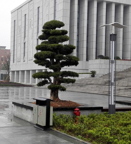 吳興法院市政景觀綠化配套工程