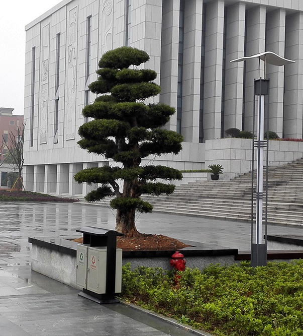 吳興法院市政景觀綠化配套工程