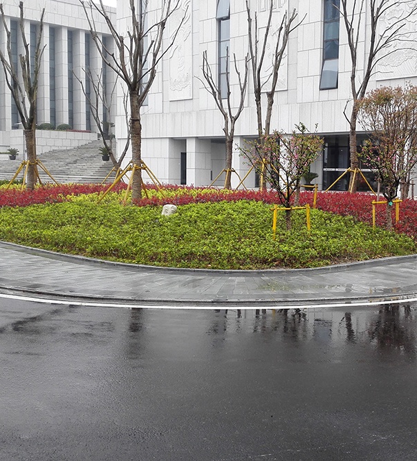 吳興法院市政景觀綠化配套工程