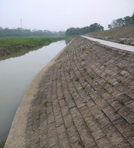 武義江湖沿至鞏宅段治理工程1標(biāo)(江山麻蓬段)